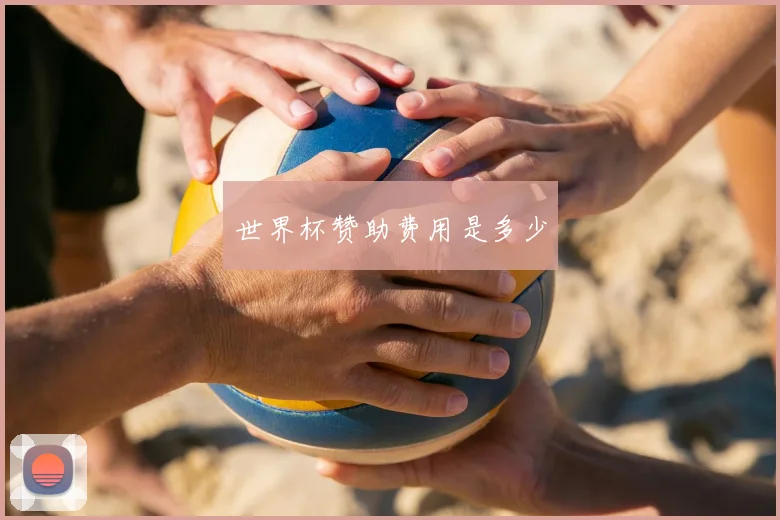 世界杯赞助费用是多少