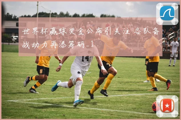 世界杯赢球奖金公布引关注 各队备战动力再添筹码_1