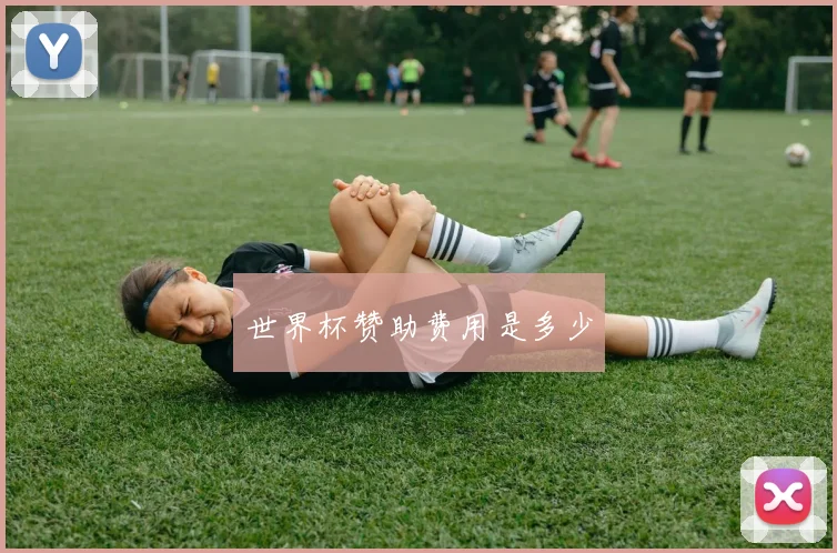 世界杯赞助费用是多少
