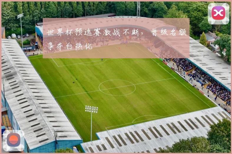 世界杯预选赛激战不断,晋级名额争夺白热化